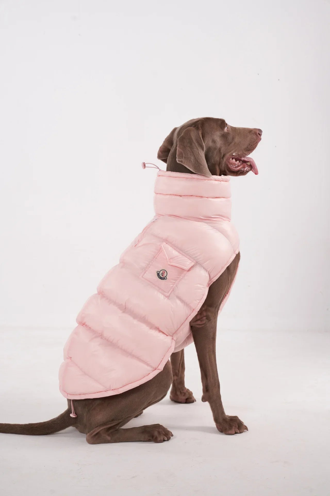 Premium Winter Winddichte Hundejacke