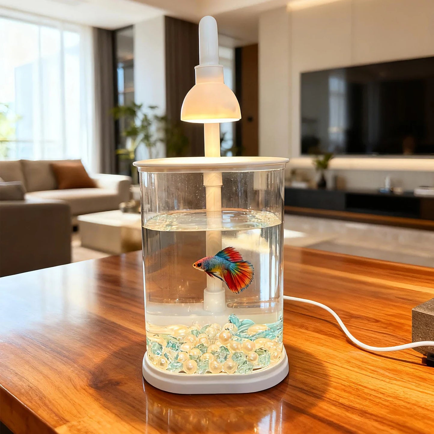 Starter Kit AquaGlow Mini – Mini-Aquarium mit LED-Beleuchtung