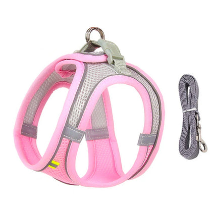 Atmungsaktives Hundegeschirr mit Leine für kleine Hunde – Polyester, XXS-L