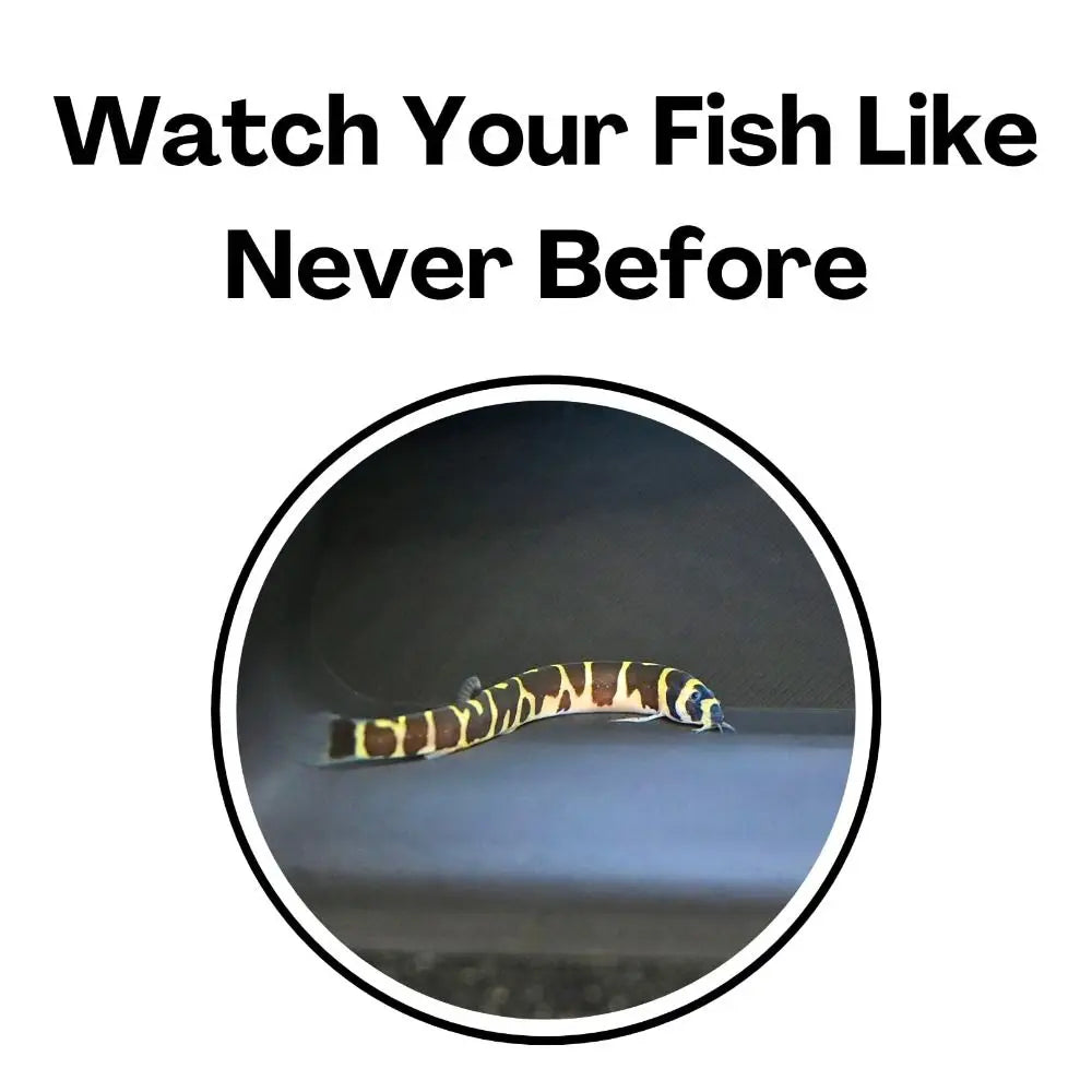 Aquarium-Untergrundtunnelhöhle