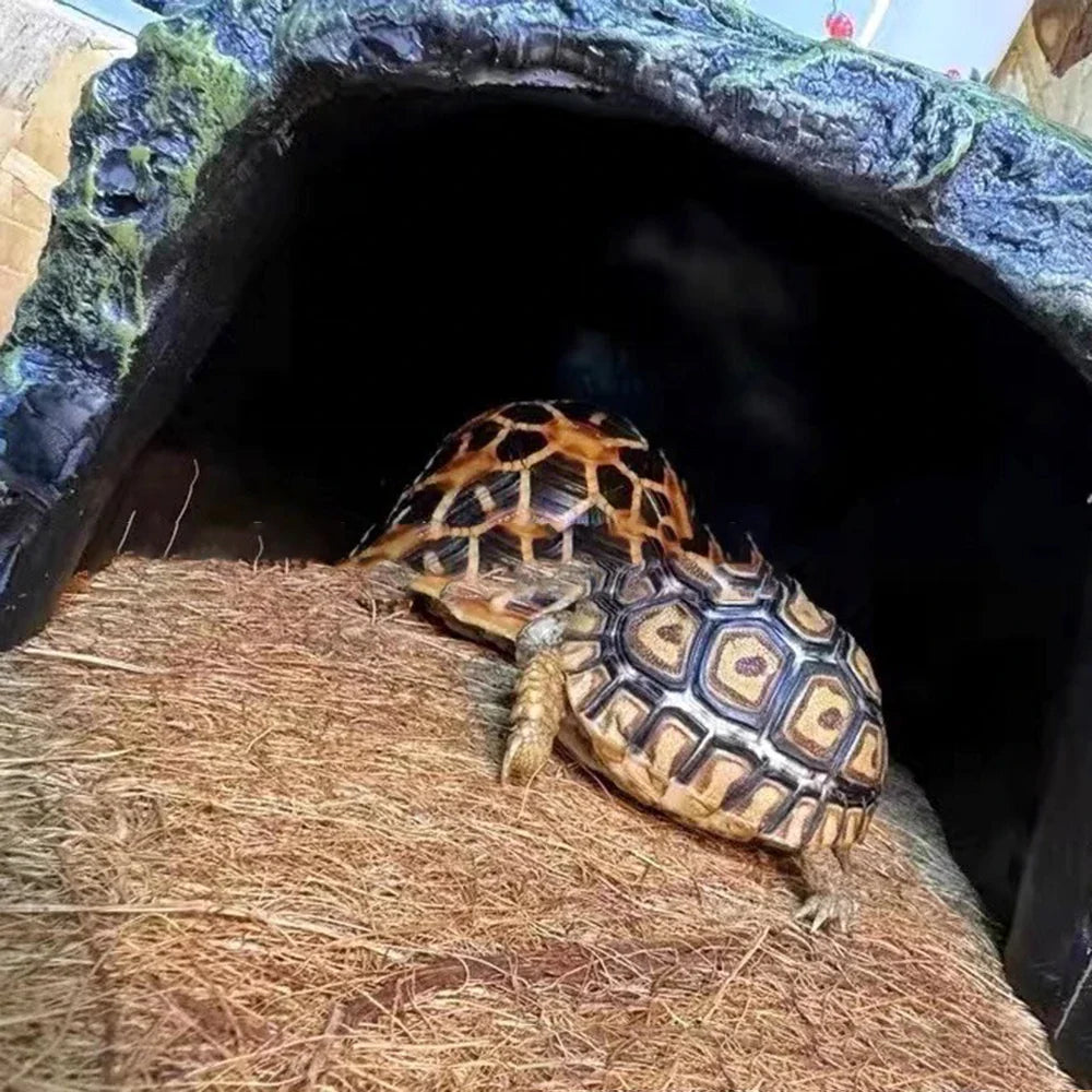 EcoTera Natur-Kokosfaser Terrarienmatte