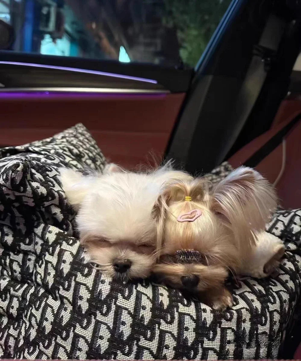 Autobox für Hunde – Herausnehmbare und waschbare Hundebox für Herbst und Winter