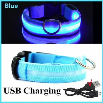 LumiGlow LED Leuchthalsband für Hunde