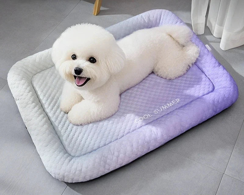 COOL PAWS – Kühlende Haustiermatratze für Hunde und Katzen