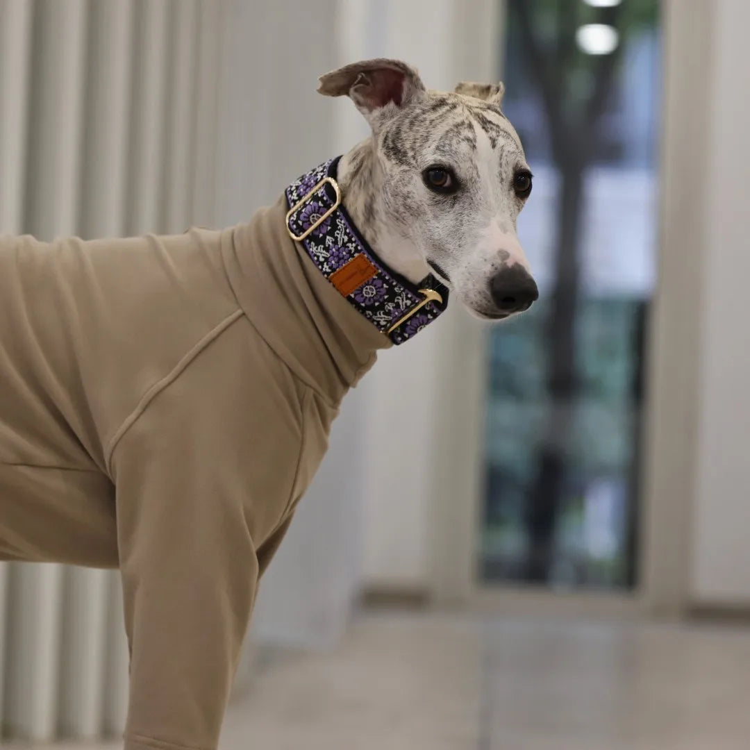 SwiftGent Martingale Hundehalsband