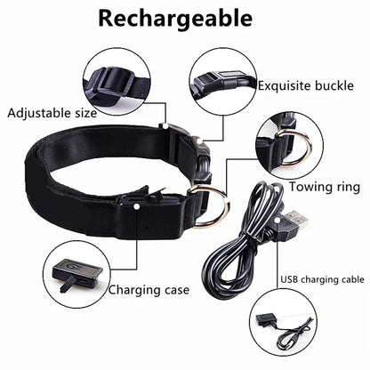 LumiGlow LED Leuchthalsband für Hunde