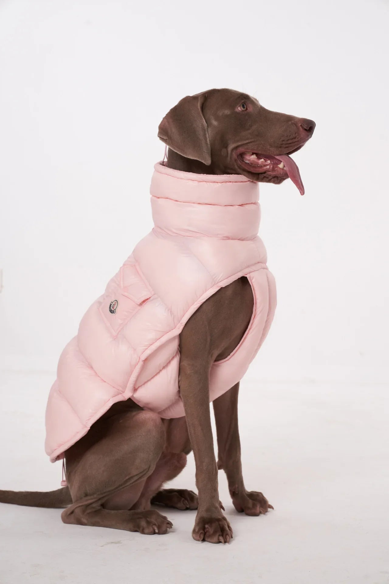 Premium Winter Winddichte Hundejacke