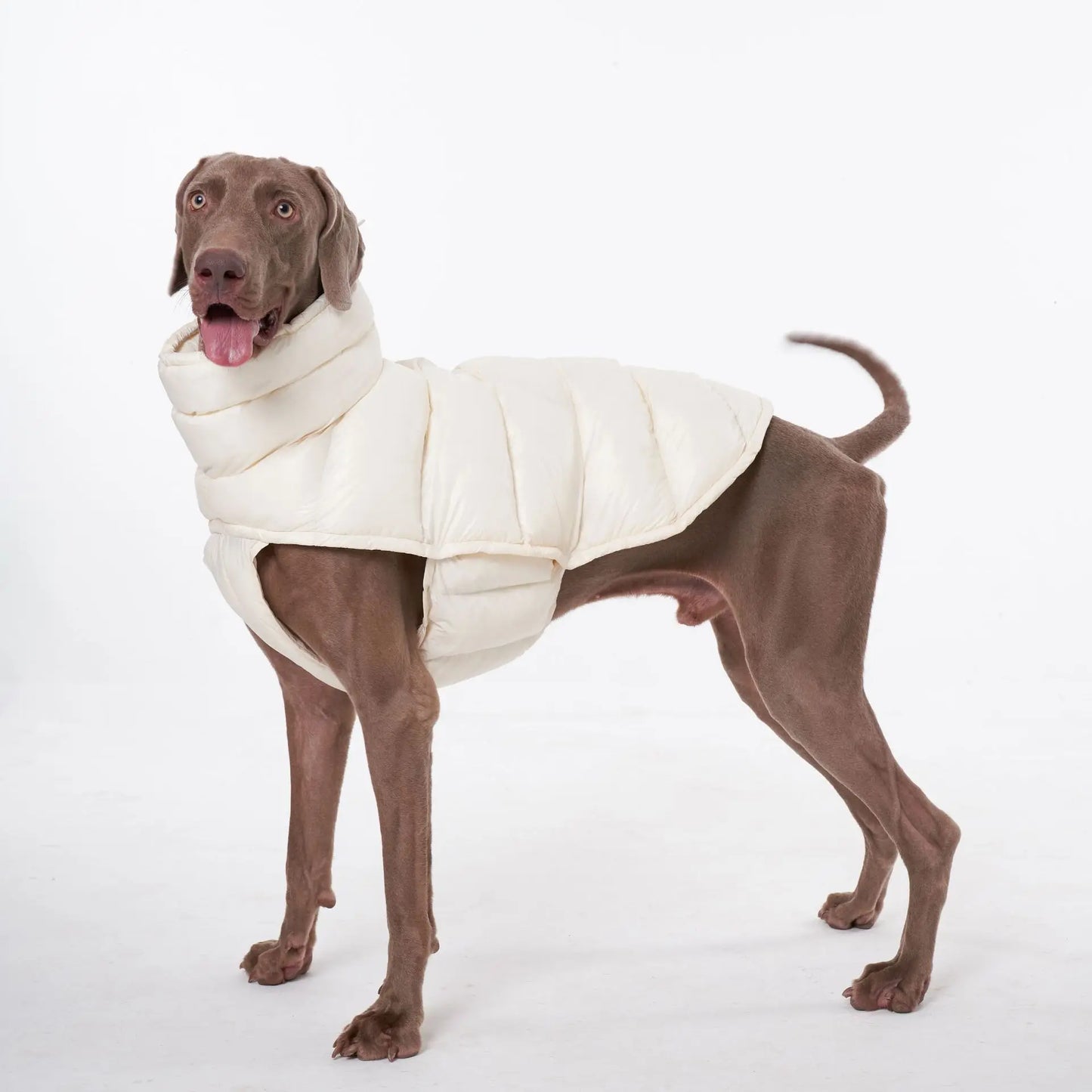Premium Winter Winddichte Hundejacke