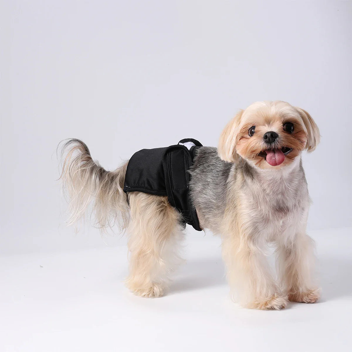 Waschbare Hundewindel für Hündinnen