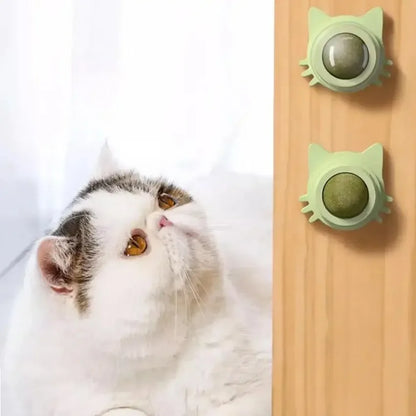 MINTYPLAY Leckbarer Kräuterball für Katzen – Snack, Spielzeug & Zahnpflege in einem!