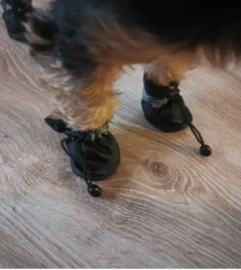 SnuffelBuddy Cord-Hundespielzeug
