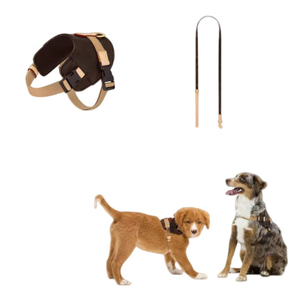 UrbanSafe Pets – Trendiges Brustgeschirr + Leine für Hunde & Katzen