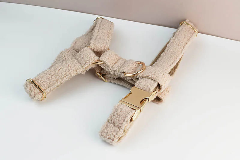 Teddy Luxus personalisiertes Hundehalsband- und Leinen-Set