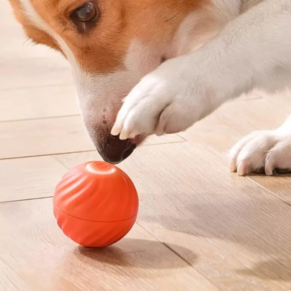 JumpiBall – Intelligenter Hüpfball für Hunde