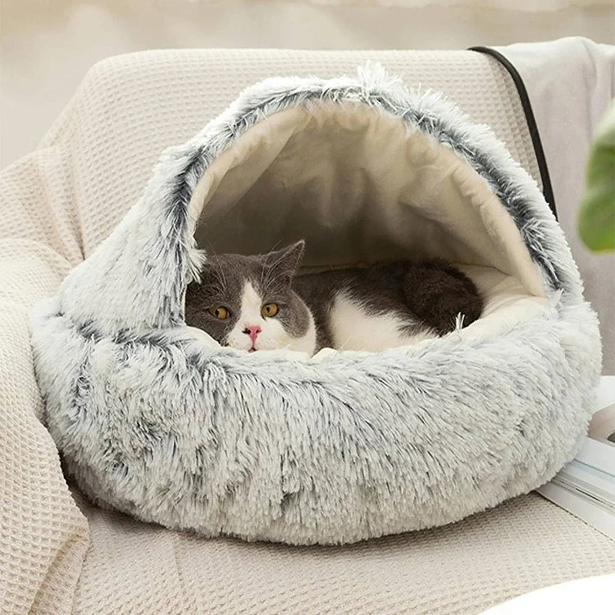 Flauschiges Donut-Katzenbett mit Mütze – weich und warm für kleine Haustiere