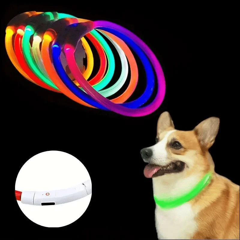 GlowGuard LED-Sicherheitshalsband für Hunde – USB-aufladbar & reflektierend