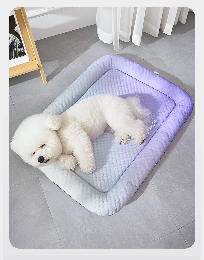 COOL PAWS – Kühlende Haustiermatratze für Hunde und Katzen