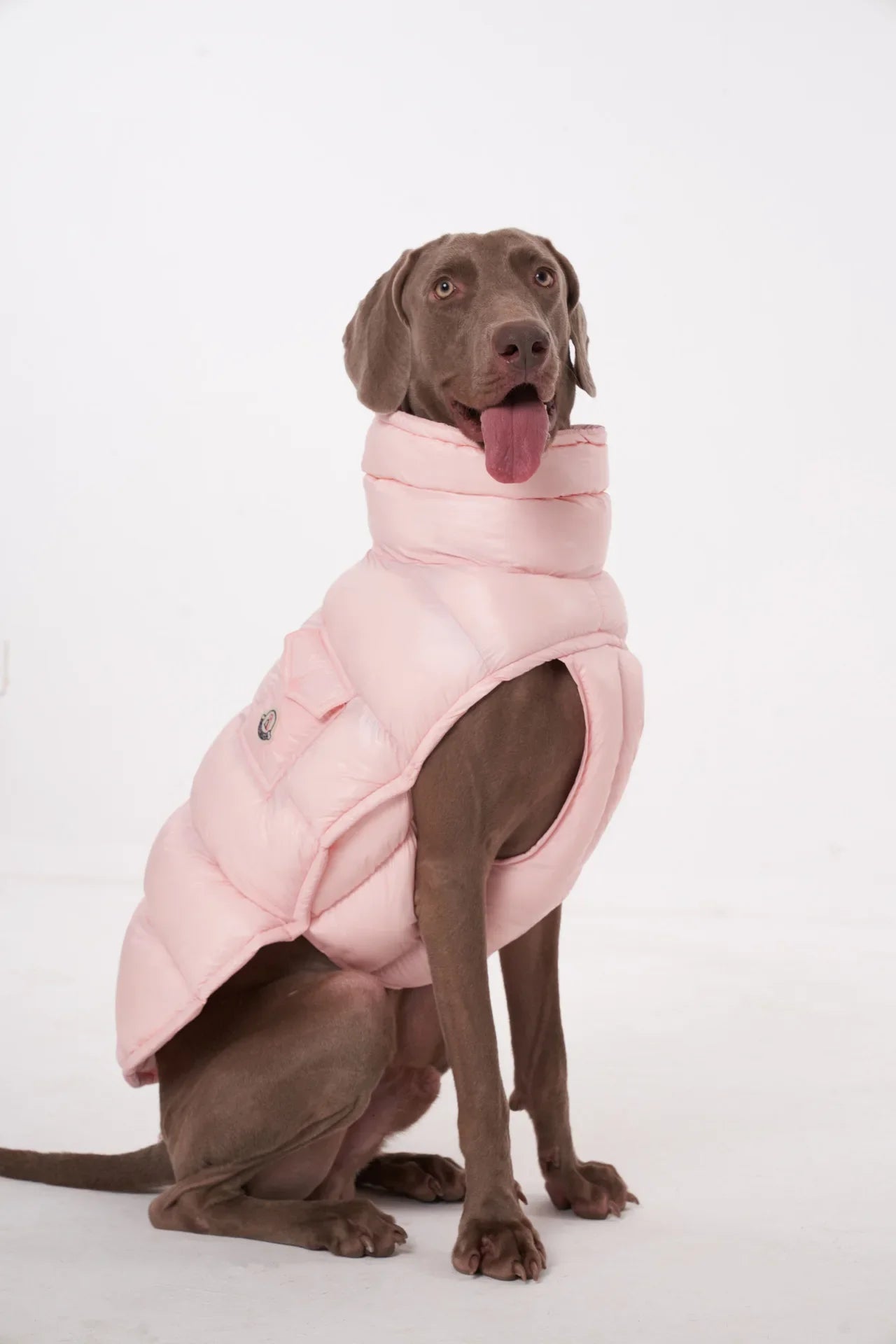 Premium Winter Winddichte Hundejacke