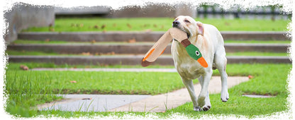ZiziFloat Hunde-Wasserspielzeug