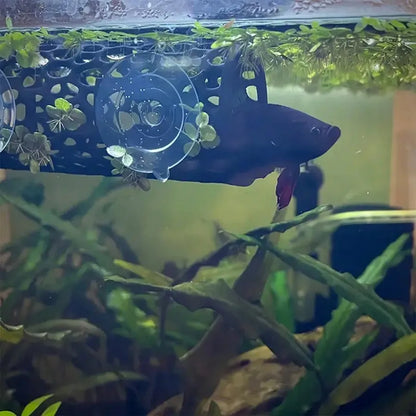 AquaHaven Schwarze Aquarium-Versteckröhre mit Saugnapf