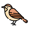 🦜 Vögel