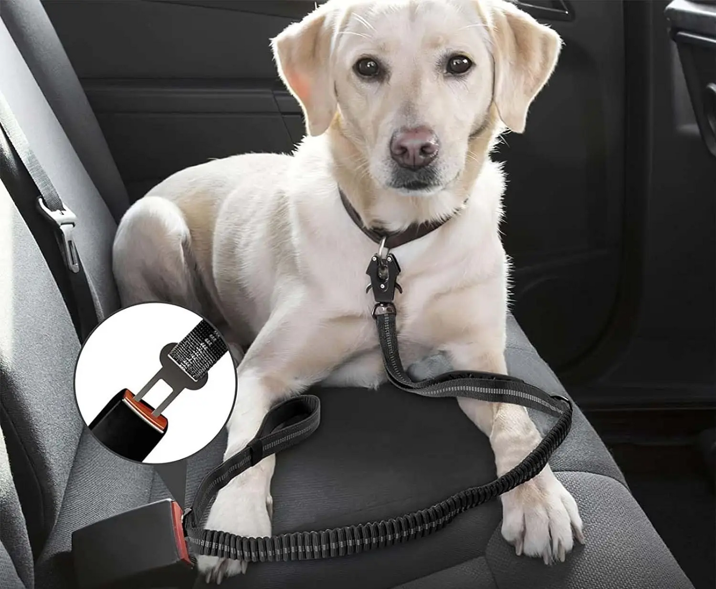 TATICRIP Reflektierende, stoßdämpfende Hundeleine mit Sicherheitsgurt – Für kräftige und aktive Hunde