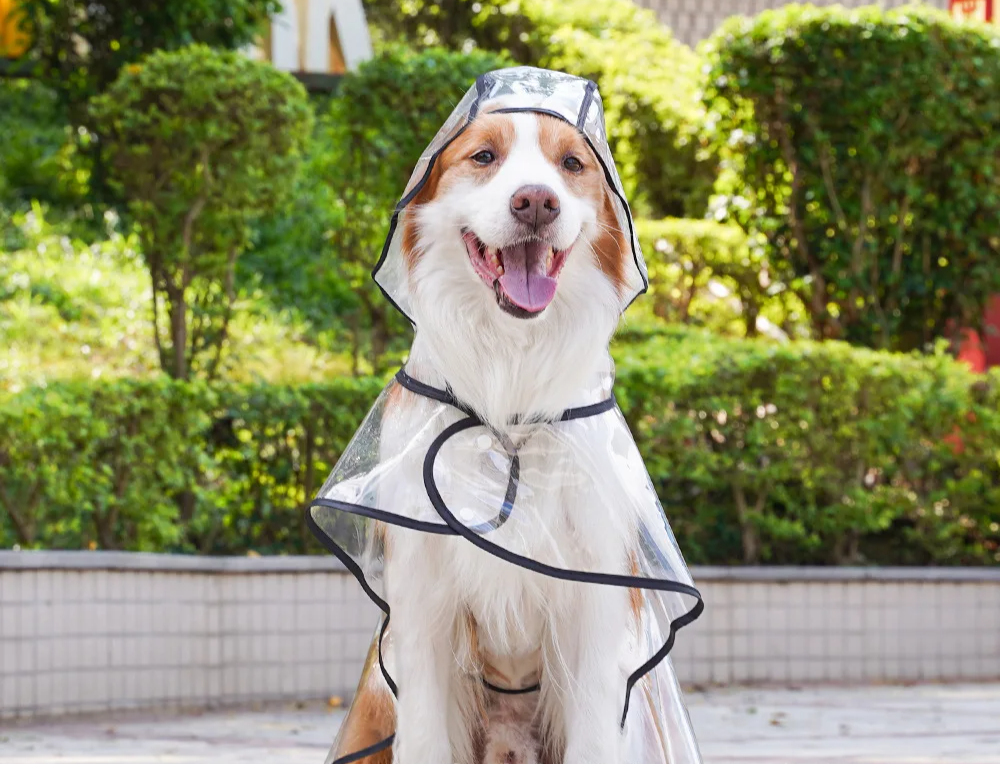 ClearPaw Transparenter Regenmantel für Hunde