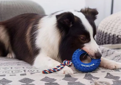 Climb Paws Hunde-Beißspielzeug