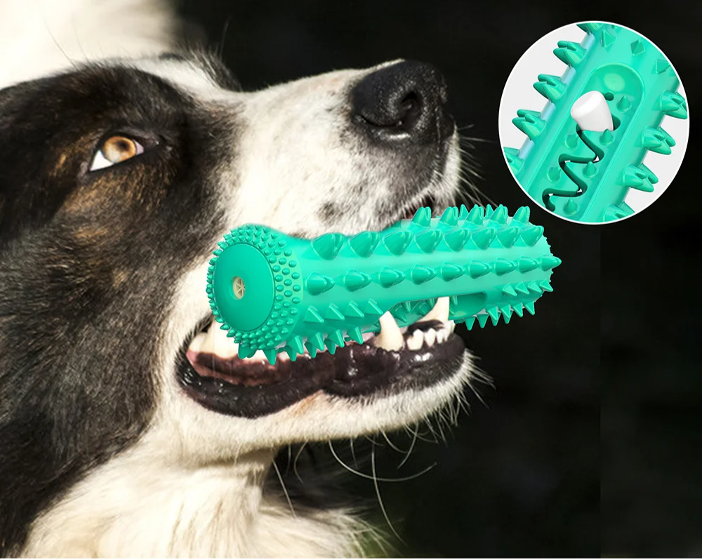 AquaBite Schwimmendes Quietschspielzeug für Hunde