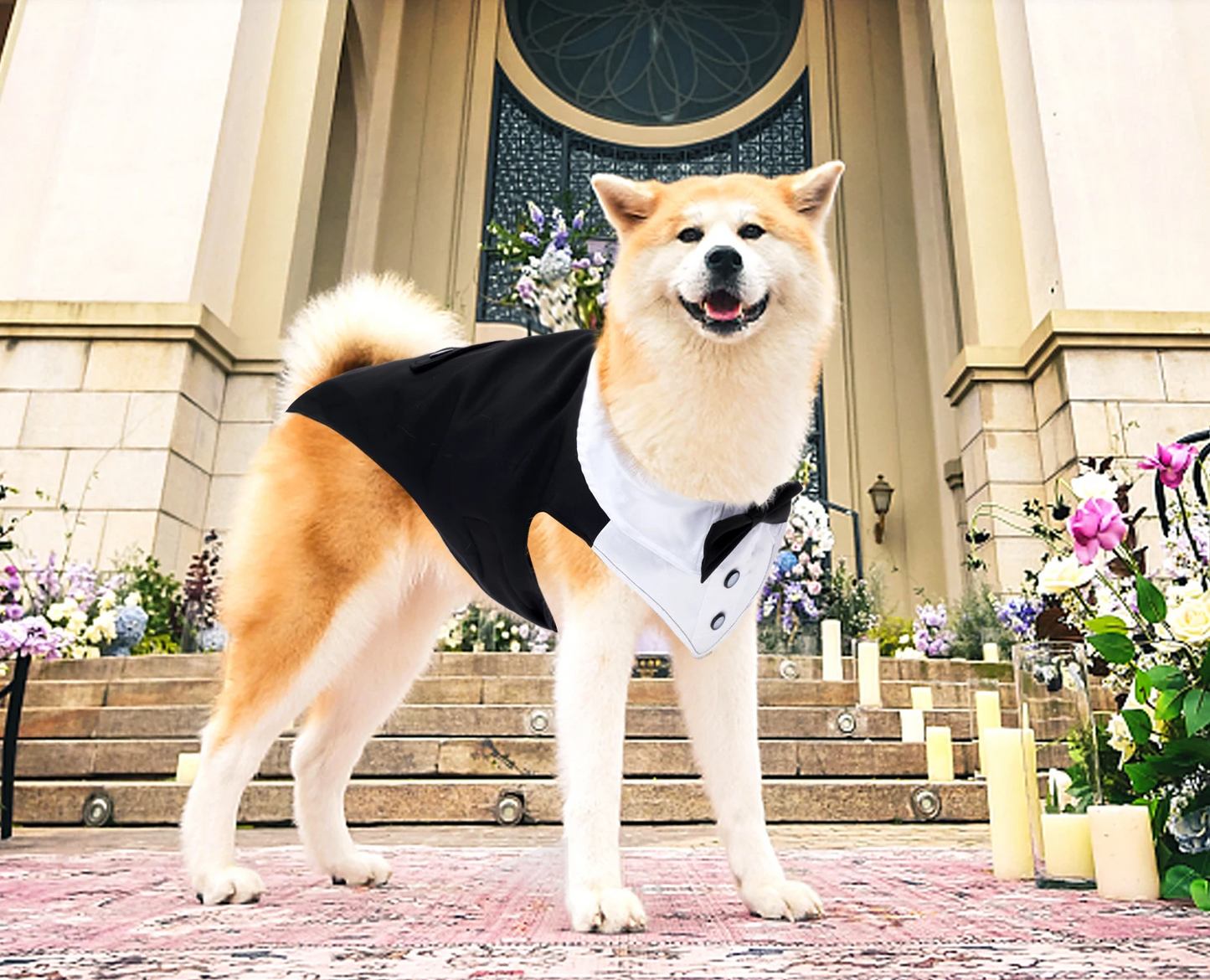 RoyalPaws Eleganter Hunde-Smok – Festlicher Hochzeitsanzug