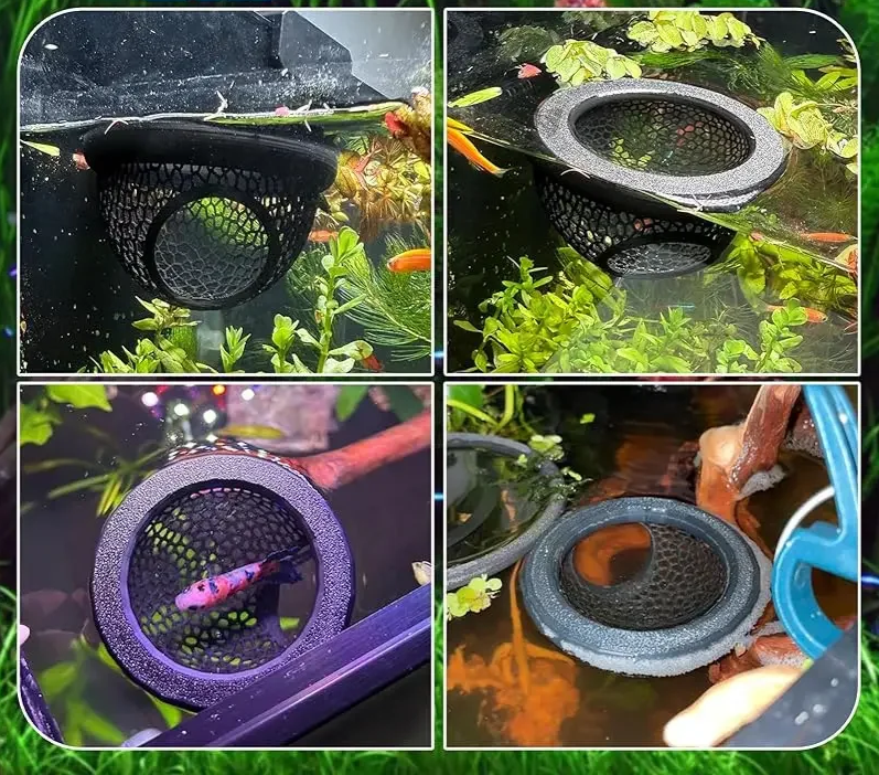 AquaHaven 3-in-1 Schwimmende Höhle & Futterring für Betta und Kleine Aquatische Haustiere