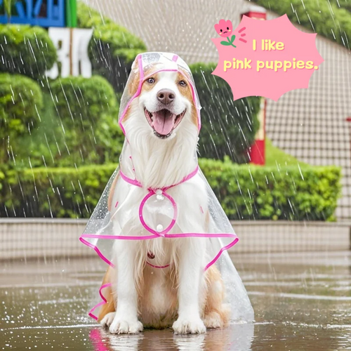 ClearPaw Transparenter Regenmantel für Hunde