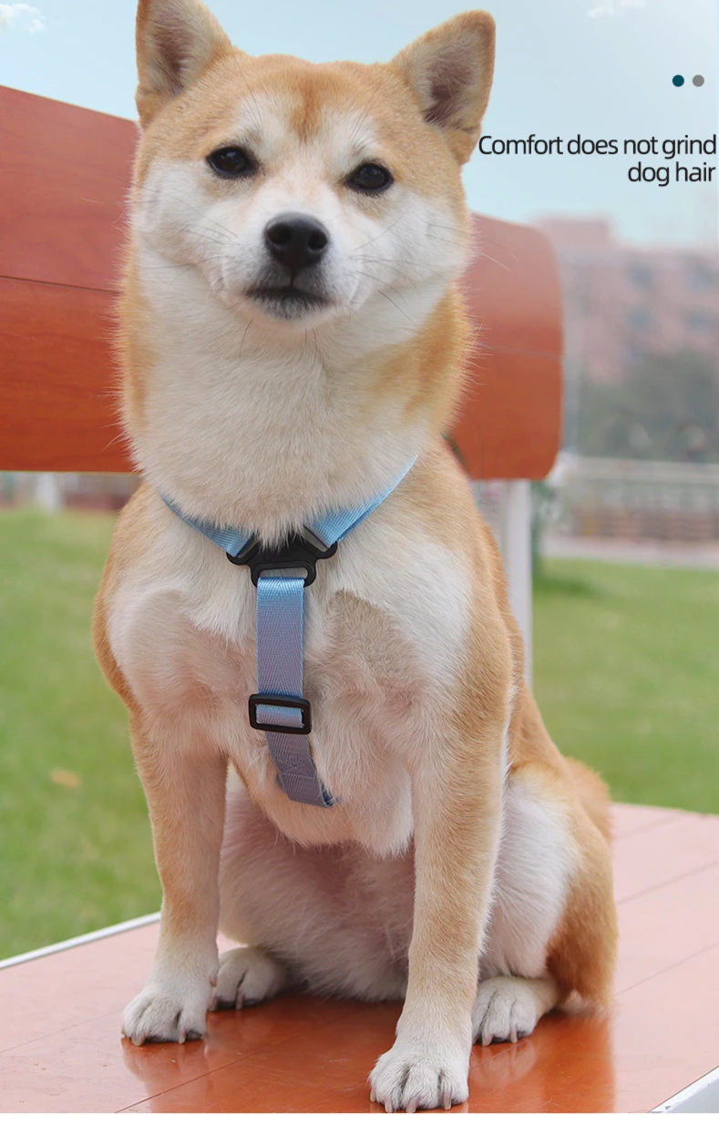 PawVoyage Wasserdichter Hunde-Reiserucksack