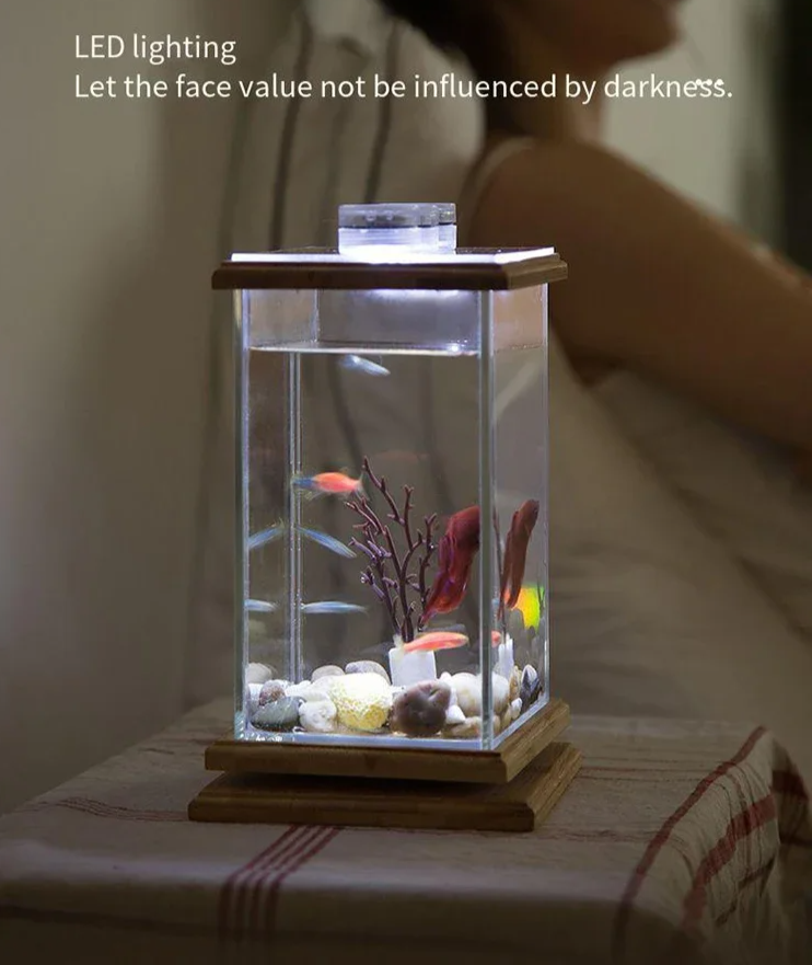 AquaGlow LED zylindrisches Mini-Aquarium