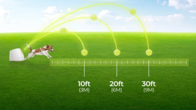 Automatischer Hunde-Ballwerfer – Interaktives Apportierspielzeug