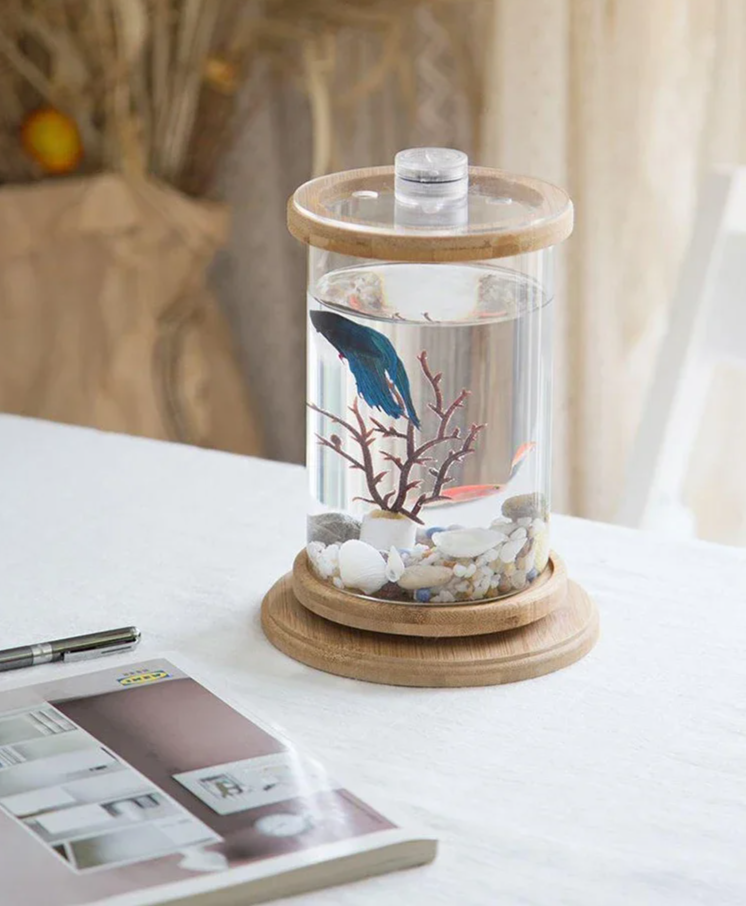 AquaGlow LED zylindrisches Mini-Aquarium