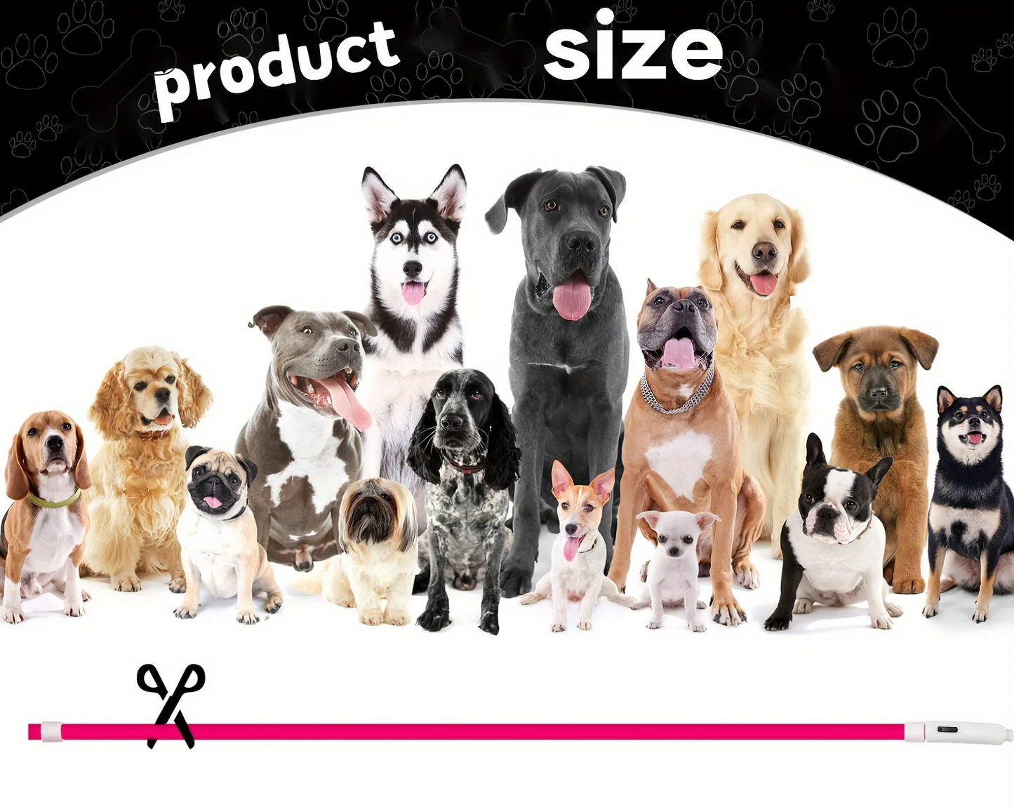 GlowGuard LED-Sicherheitshalsband für Hunde – USB-aufladbar & reflektierend