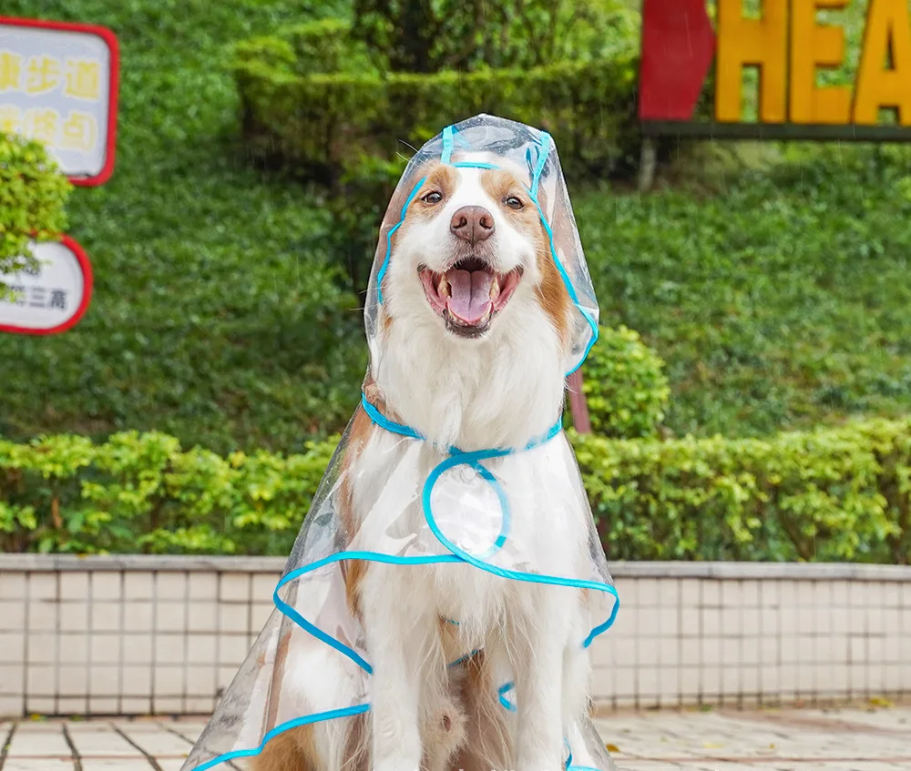 ClearPaw Transparenter Regenmantel für Hunde