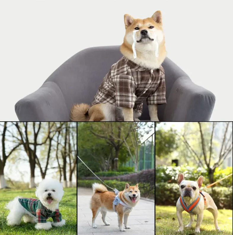 AeroPaw Sommerschuhe für Hunde – Atmungsaktiv & Rutschfest