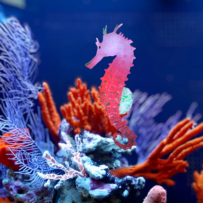 AquaGlow Leuchtendes Seepferdchen – Silikon Aquarium Dekoration mit Saugnapf