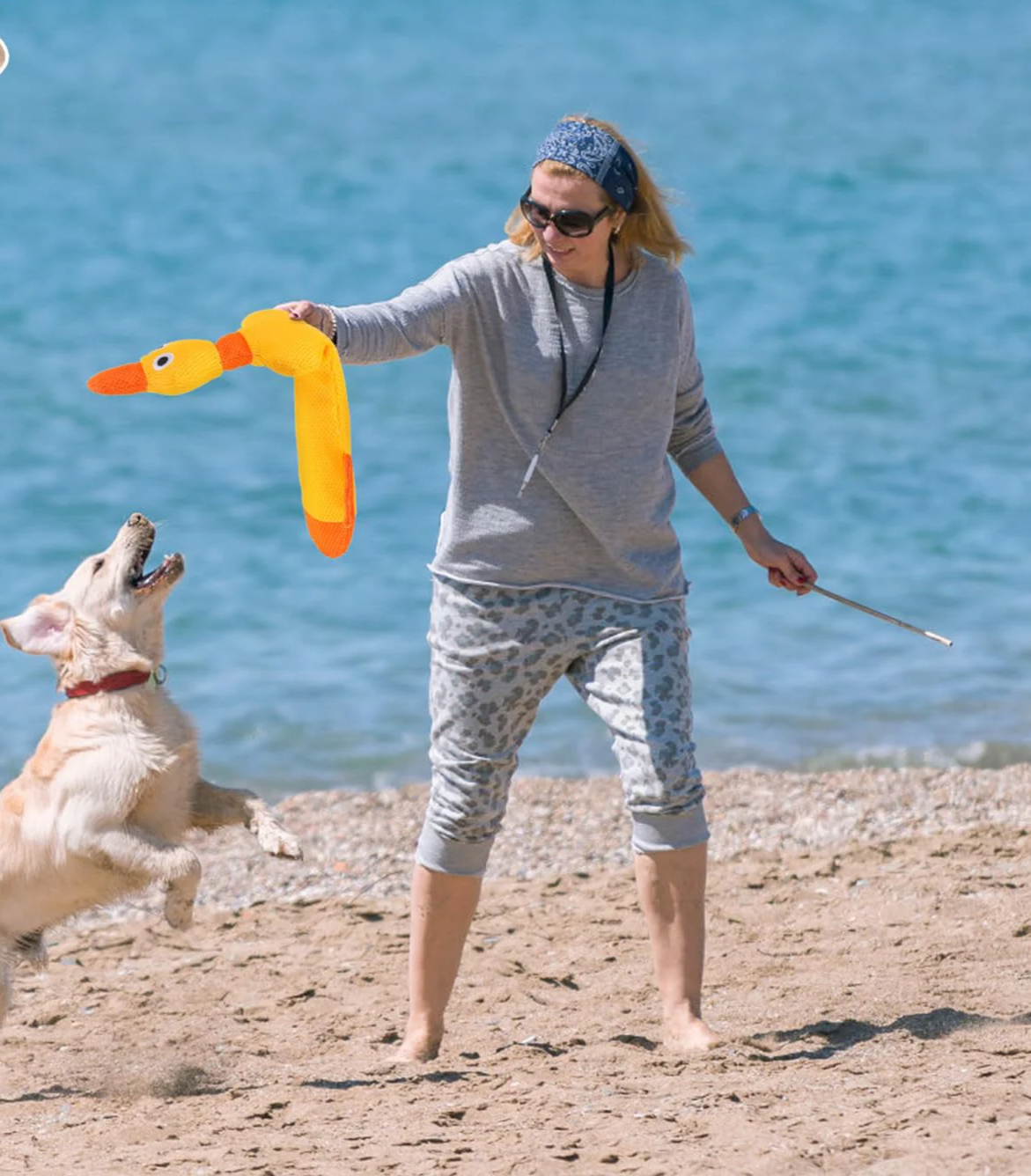 ZiziFloat Hunde-Wasserspielzeug