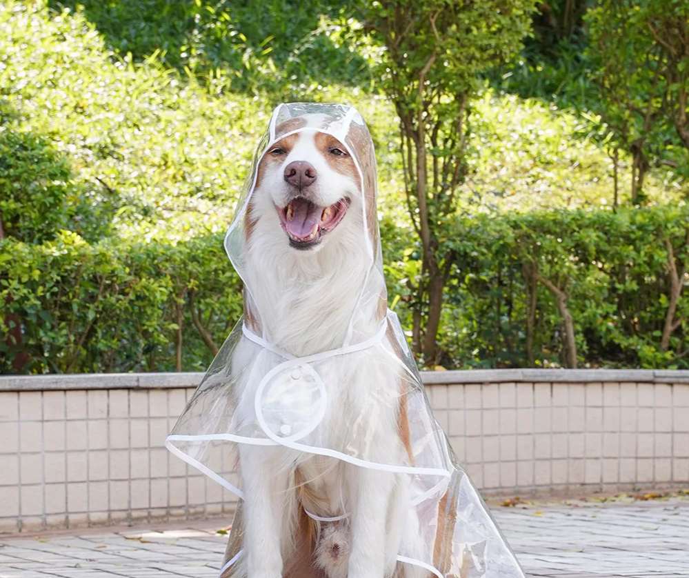 ClearPaw Transparenter Regenmantel für Hunde