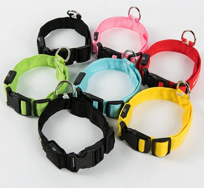 LumiGlow LED Leuchthalsband für Hunde